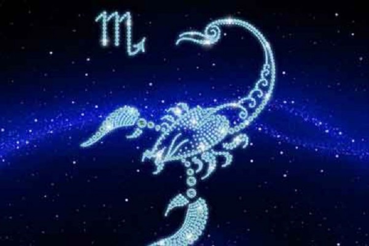 Trầm t&iacute;nh v&agrave; sống nội t&acirc;m