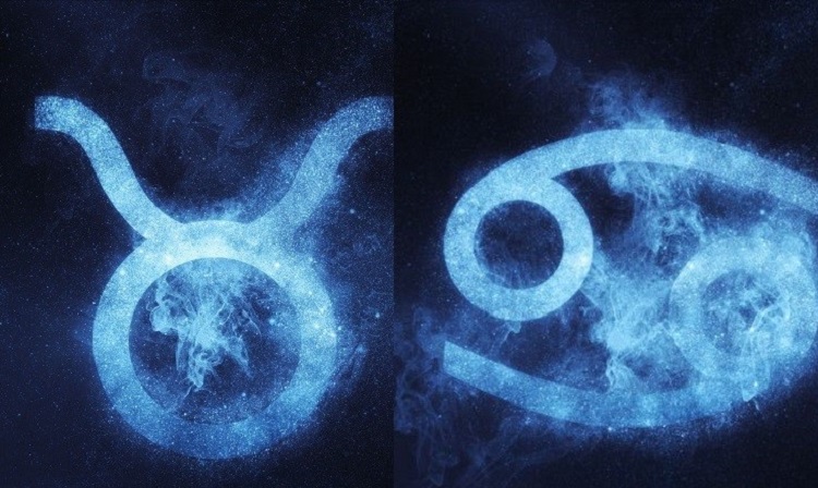 Kim Ngưu v&agrave; Cự Giải