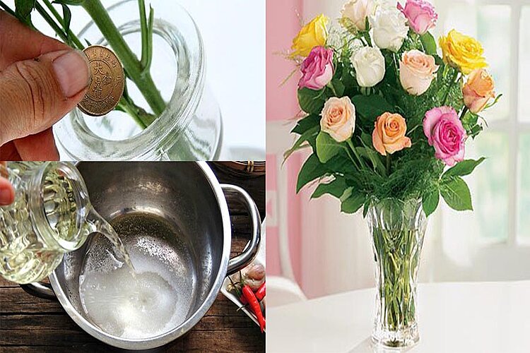 Một số mẹo để giữ hoa tươi lâu ngày Tết