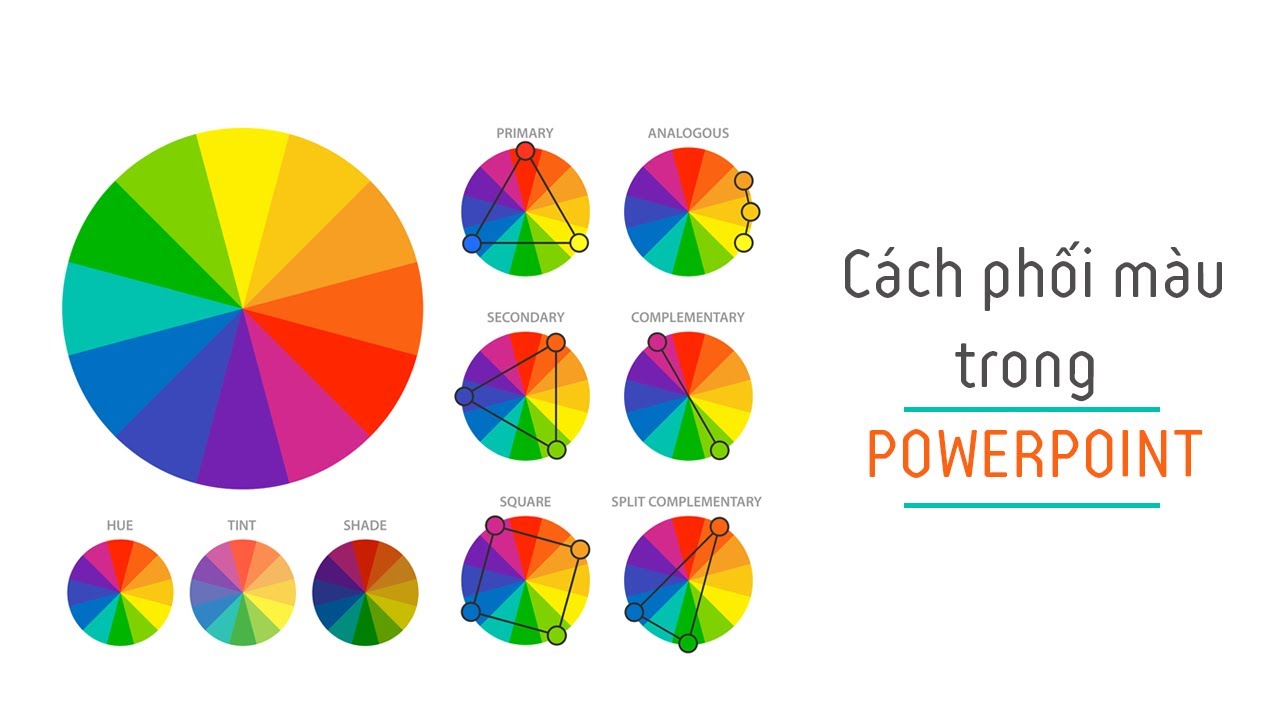 C&aacute;ch phối m&agrave;u khi l&agrave;m CV bằng Powerpoint