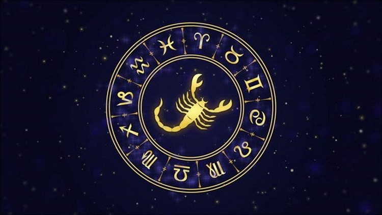 T&iacute;nh c&aacute;ch cơ bản