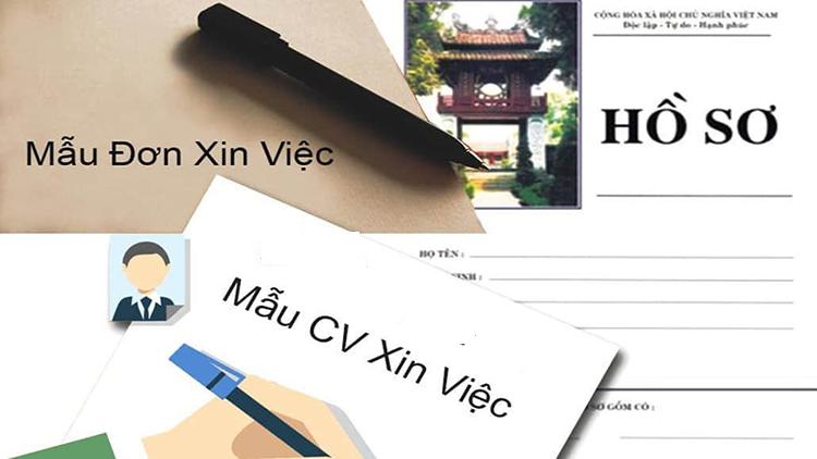 C&aacute;ch tạo hồ sơ xin việc online như thế n&agrave;o?