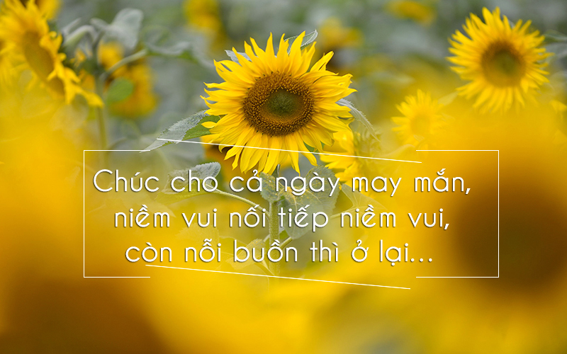 Những lời ch&uacute;c may mắn hay