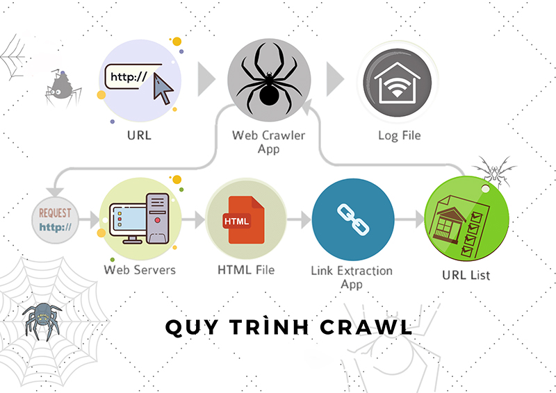 Quy tr&igrave;nh của Crawl 