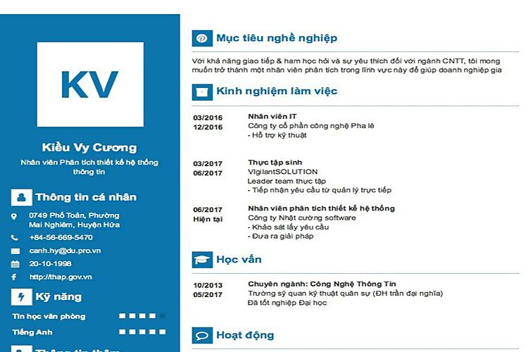 Mẫu CV Chuy&ecirc;n vi&ecirc;n ph&acirc;n t&iacute;ch cao cấp