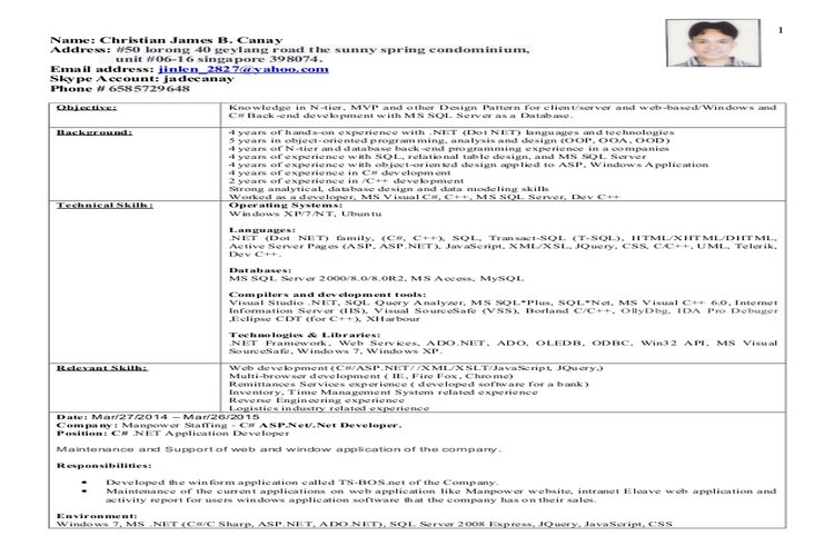 Mẫu CV C Developers chuẩn tiếng Anh