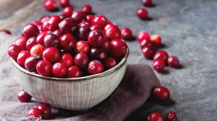 Cranberry la gi