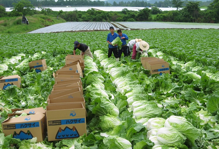 ky su nong nghiep