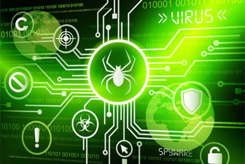 Những b&agrave;i học từ Bug cho lập tr&igrave;nh vi&ecirc;n 