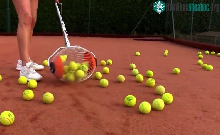 Nhặt b&oacute;ng tennis