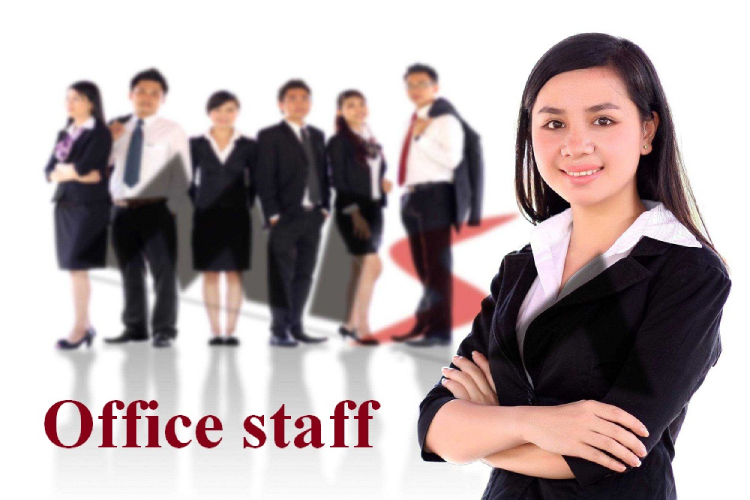 Học gì để làm nhân viên văn phòng? Tất cả những điều bạn cần biết