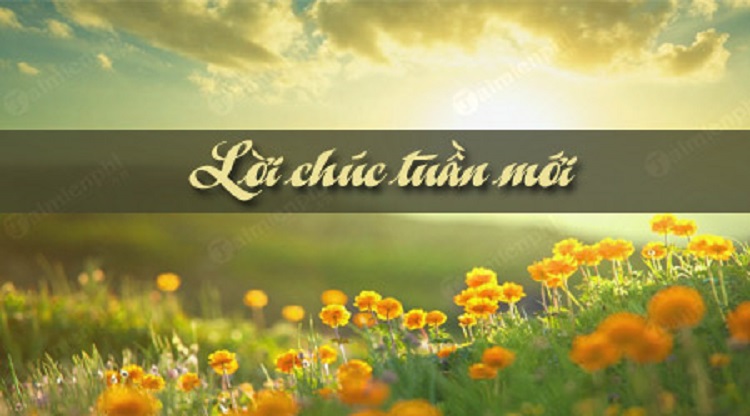 Những lời chúc đầu tuần tốt nhất