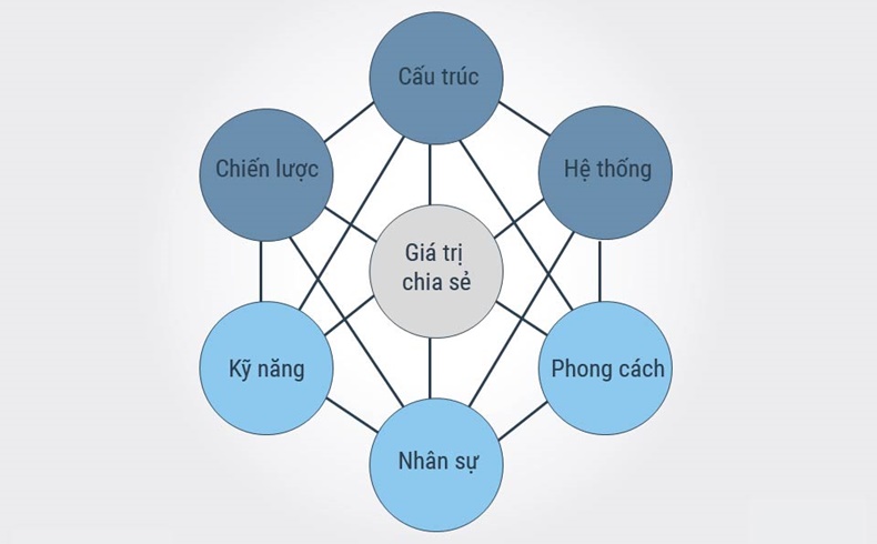 Kh&aacute;i niệm m&ocirc; h&igrave;nh 7s l&agrave; g&igrave;?