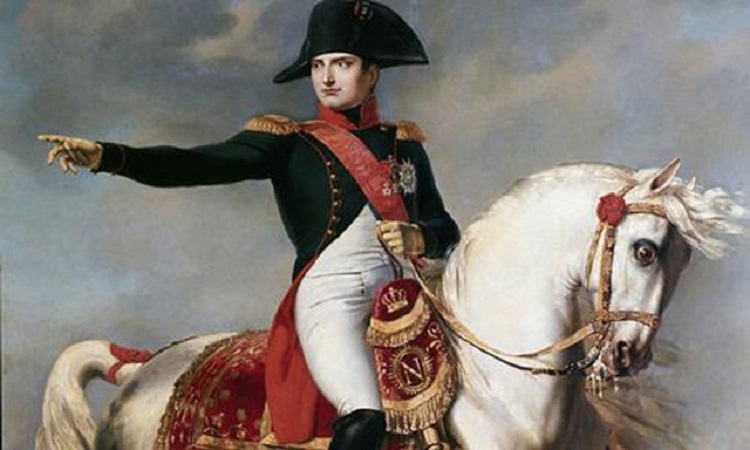 Vua Napoleon