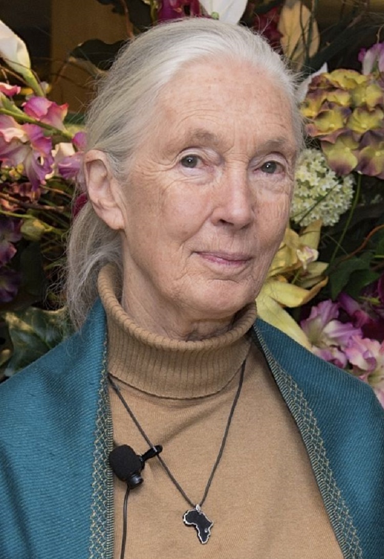 Janes Goodall