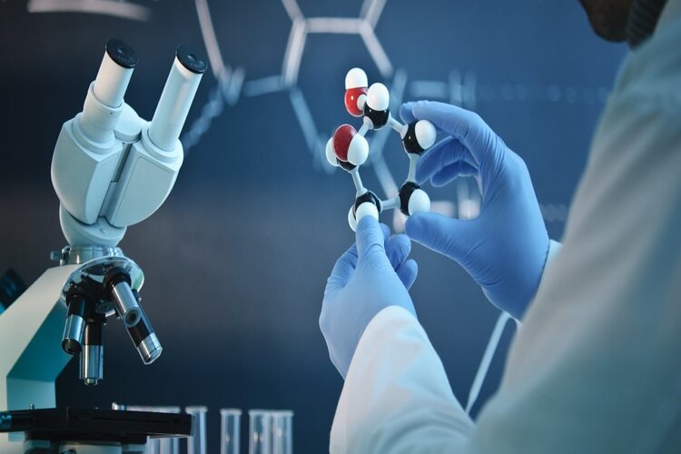Ng&agrave;nh Biotechnology n&ecirc;n học trường n&agrave;o tốt nhất