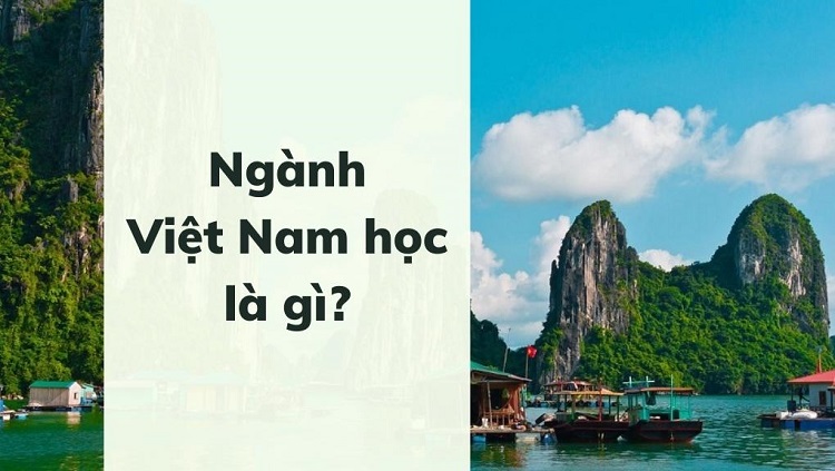 Ng&agrave;nh Việt Nam học l&agrave; g&igrave;?