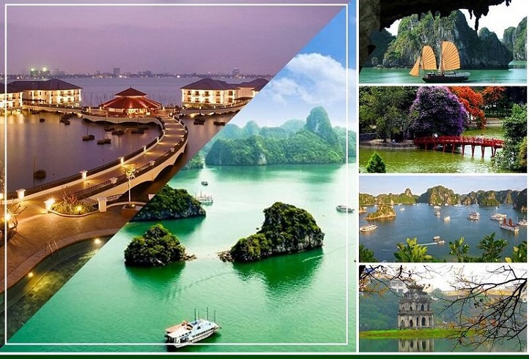 C&oacute; n&ecirc;n học ng&agrave;nh Việt Nam học kh&ocirc;ng?