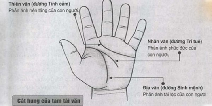 Chỉ tay nam giới c&oacute; 3 đường cơ bản v&agrave; quan trọng nhất