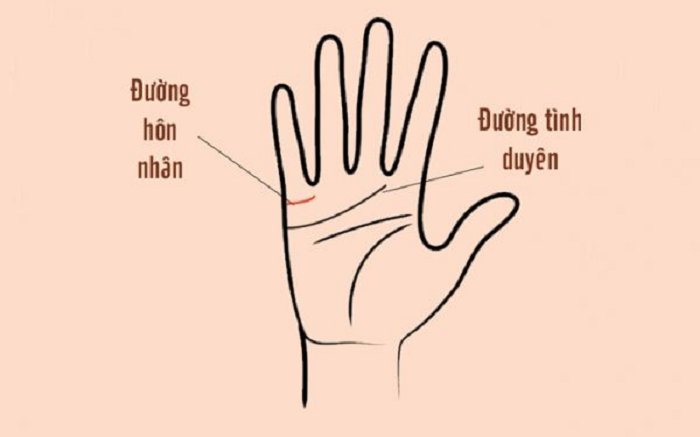 Xem đường t&igrave;nh duy&ecirc;n sẽ cho biết đời sống t&igrave;nh cảm của bạn thế n&agrave;o ở hiện tại v&agrave; tương lai