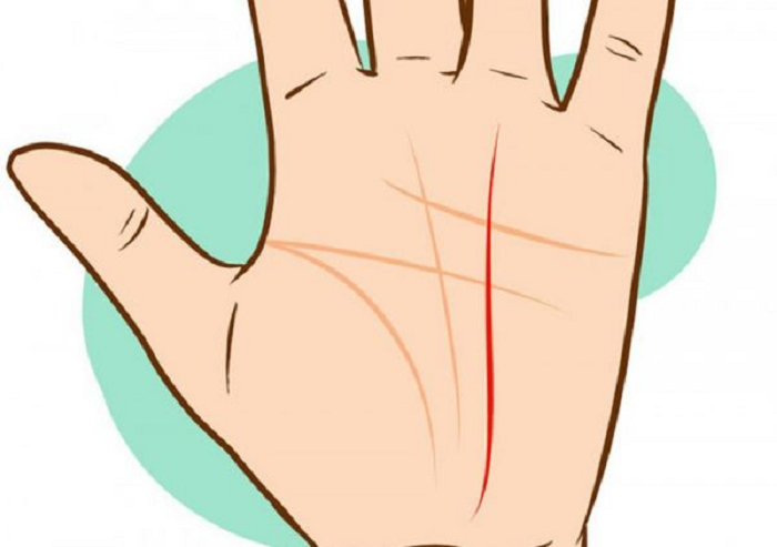 Xem đường sự nghiệp cho biết sự nghiệp trong tương lai của bạn ra sao