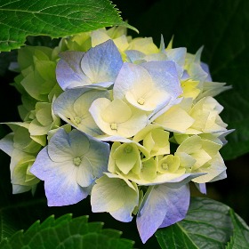 0327-814-464 Công Ty Vận Tải Thuong Phát