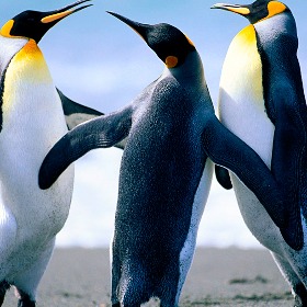 Công Ty Cổ Phần An Thành