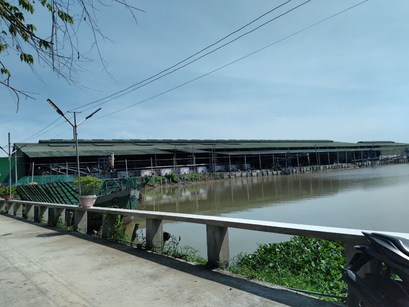 Công ty cổ phần xuất nhập khẩu chế biến lương thực thắng lợi