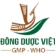 chi nhánh công ty cổ phần dược phẩm việt
