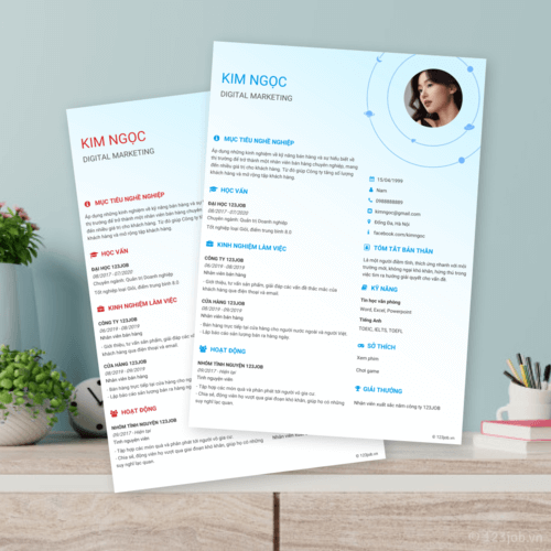 Mẫu CV Hoàng Kim 2