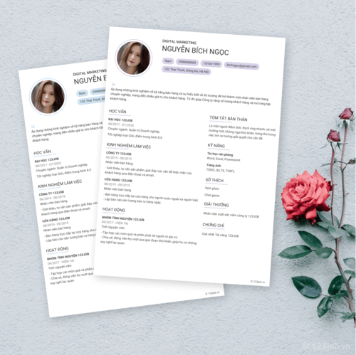 Mẫu CV Đơn giản Ấn tượng