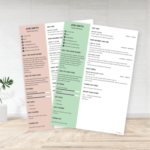 Mẫu CV Chuyên nghiệp Hiện đại