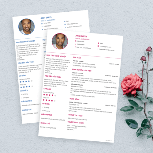 Mẫu CV Ấn tượng đơn giản