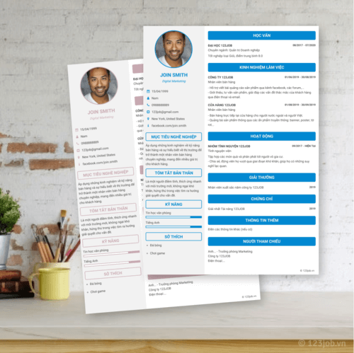 Mẫu CV Chuyên nghiệp