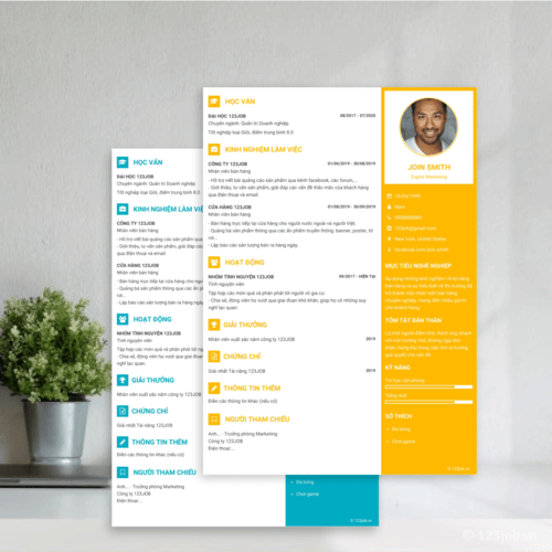 Mẫu CV Chuyên nghiệp Ấn tượng