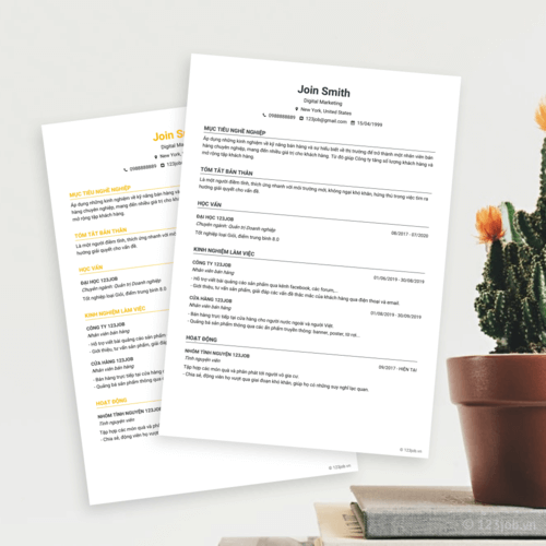 Mẫu CV Senior chuyên nghiệp