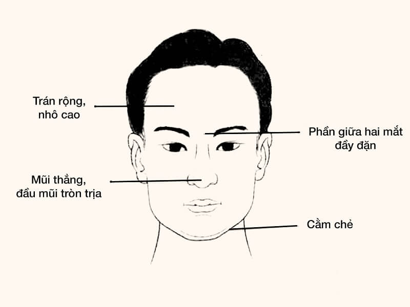 Nhân tướng học khuôn mặt là gì? Dự đoán tính cách thông qua khuôn mặt