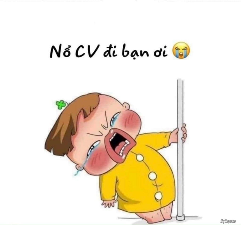 Công ty TNHH Co-production