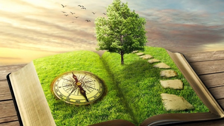 Số tuổi tâm hồn là gì? Cách chữa lành, ổn định tâm hồn khi bị tổn thương