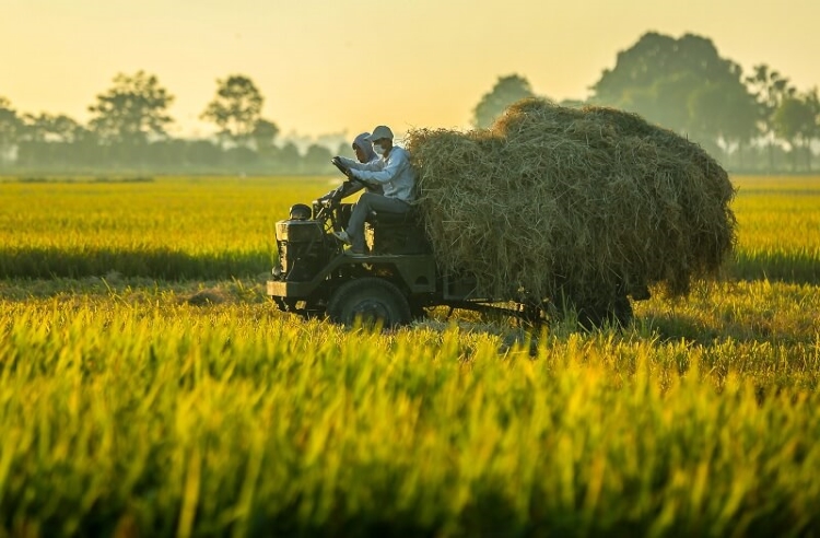 Hướng dẫn chi tiết cách điền mục thành phần gia đình trong sơ yếu lý lịch