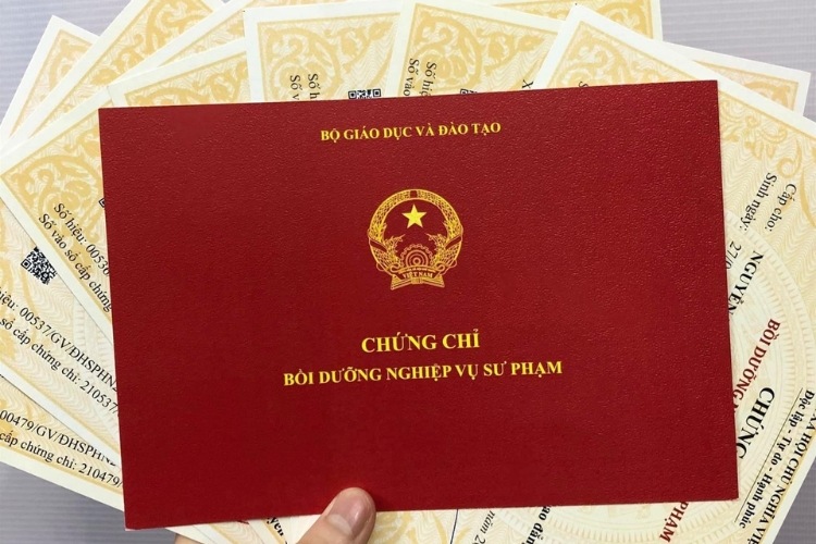 Vai trò của chứng chỉ sư phạm? Học chứng chỉ sư phạm ở đâu uy tín?