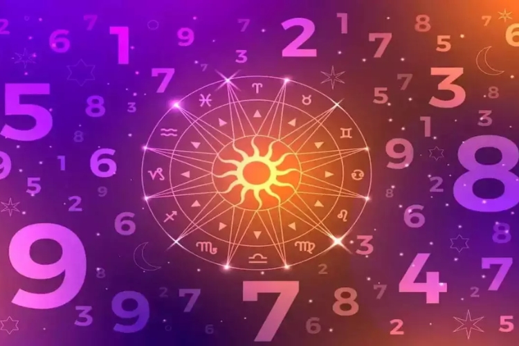 Chỉ số đường đời là gì? Cách xác định và ý nghĩa biểu thị của chỉ số đường đời