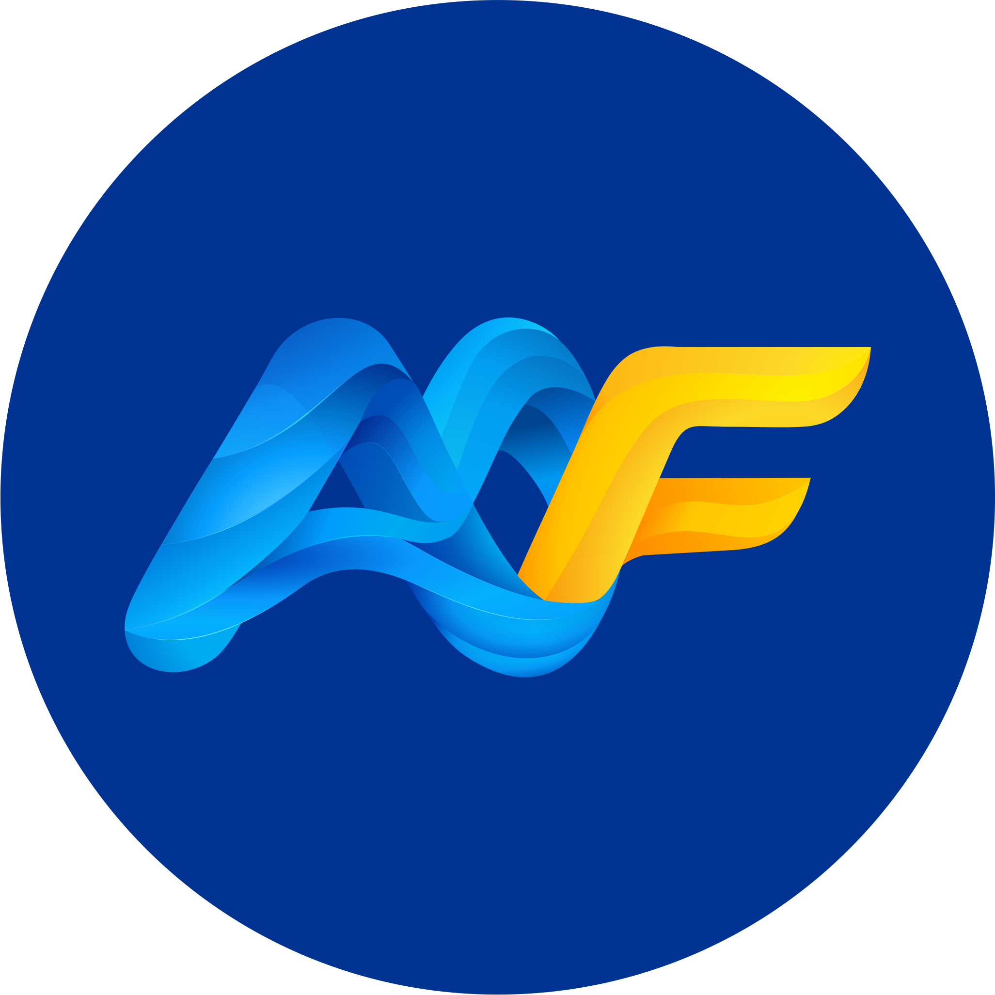 CÔNG TY CỔ PHẦN AMF APEX MEKONG FUTURE